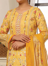 Pehchaan By Pakdaman Chikankari Lawn 3 Piece Unstitched Suit PDF25RC&E D-CL-483